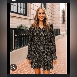 NWT. Fashion Jackson drop dress